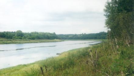 Daugova natuo� da Kruoslovys. 90-t� godi