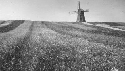 Siejums ���r�s Latgol� (v�ns nu p�dej�s), 1935.gods